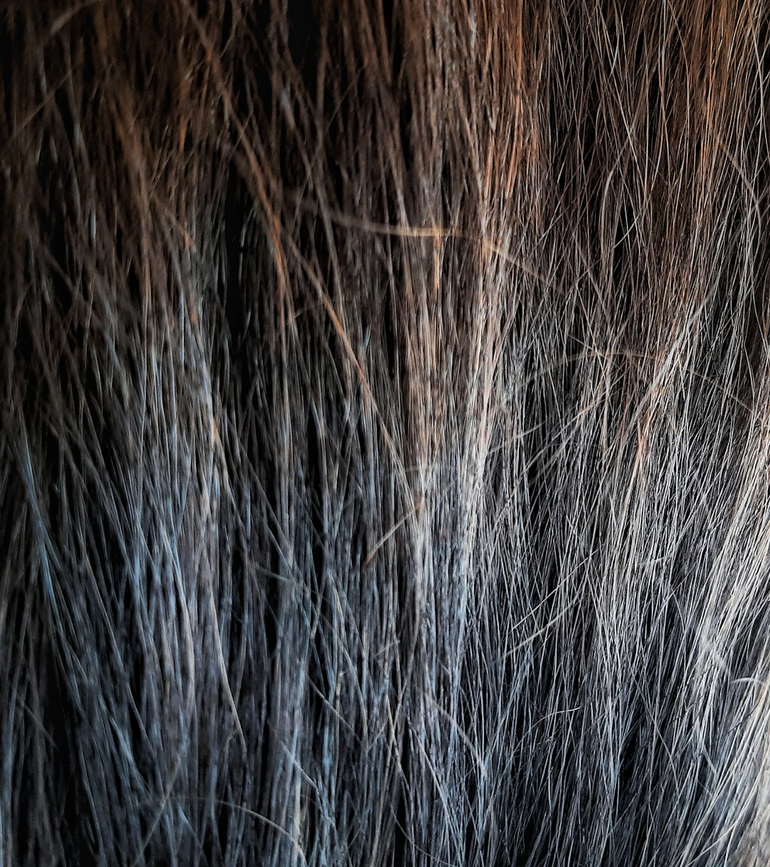 Hair Texture